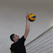 Students on a volleyball tournament